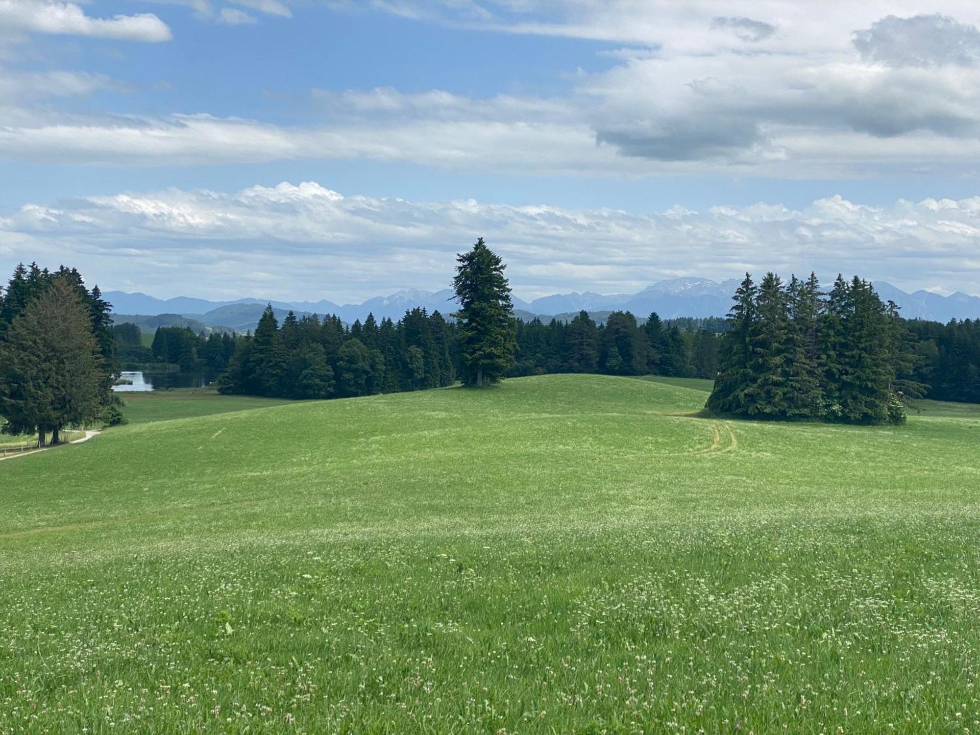 "Allgaeu-Herzl" Alpenchalet Fuer Zwei Ruckholz Экстерьер фото